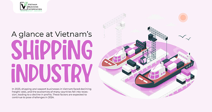 A glance at Vietnam’s shipping industry 