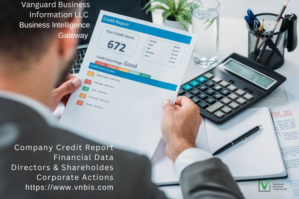 Understanding Company Credit Reports in Vietnam’s Economy