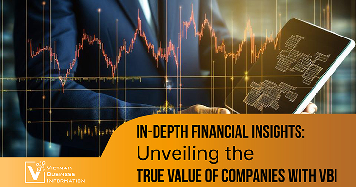 In-depth financial insights: Unveiling the true value of companies with VBI