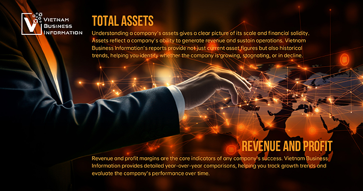 financial insights with VBI total assets revenue profit