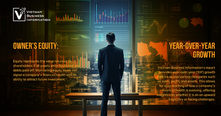 financial insights with VBI owner equity year over year growth