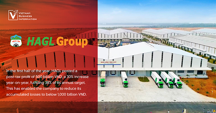 HAGL Group auditors warnings Vietnam Business Information