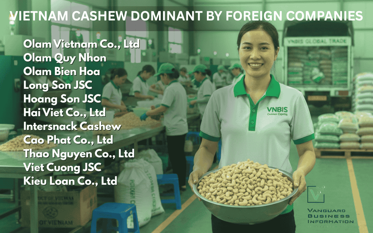 Vietnam’s Cashew Exporters 2025: Growth at the Top, but Foreign Dominance Raises Deeper Structural Concerns