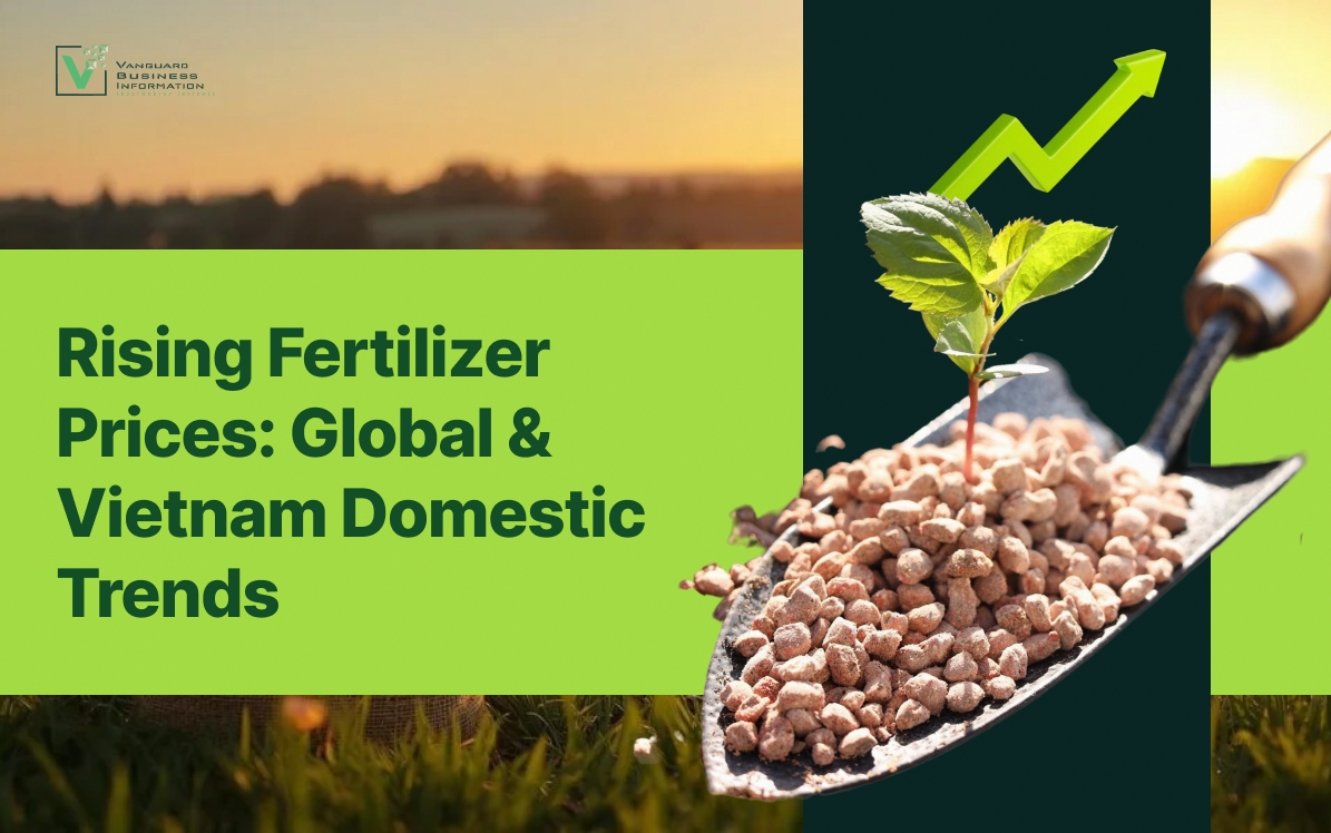 Rising Fertilizer Prices: Global and Vietnam Domestic Trends