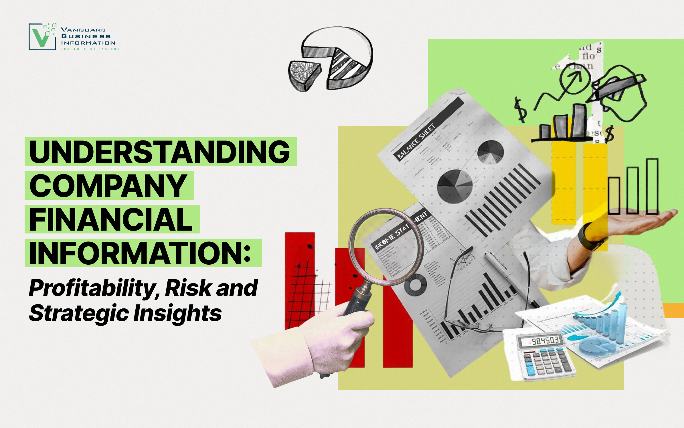 Understanding Company Financial Information: A Strategic Guide to Financial Statements and Business Intelligence