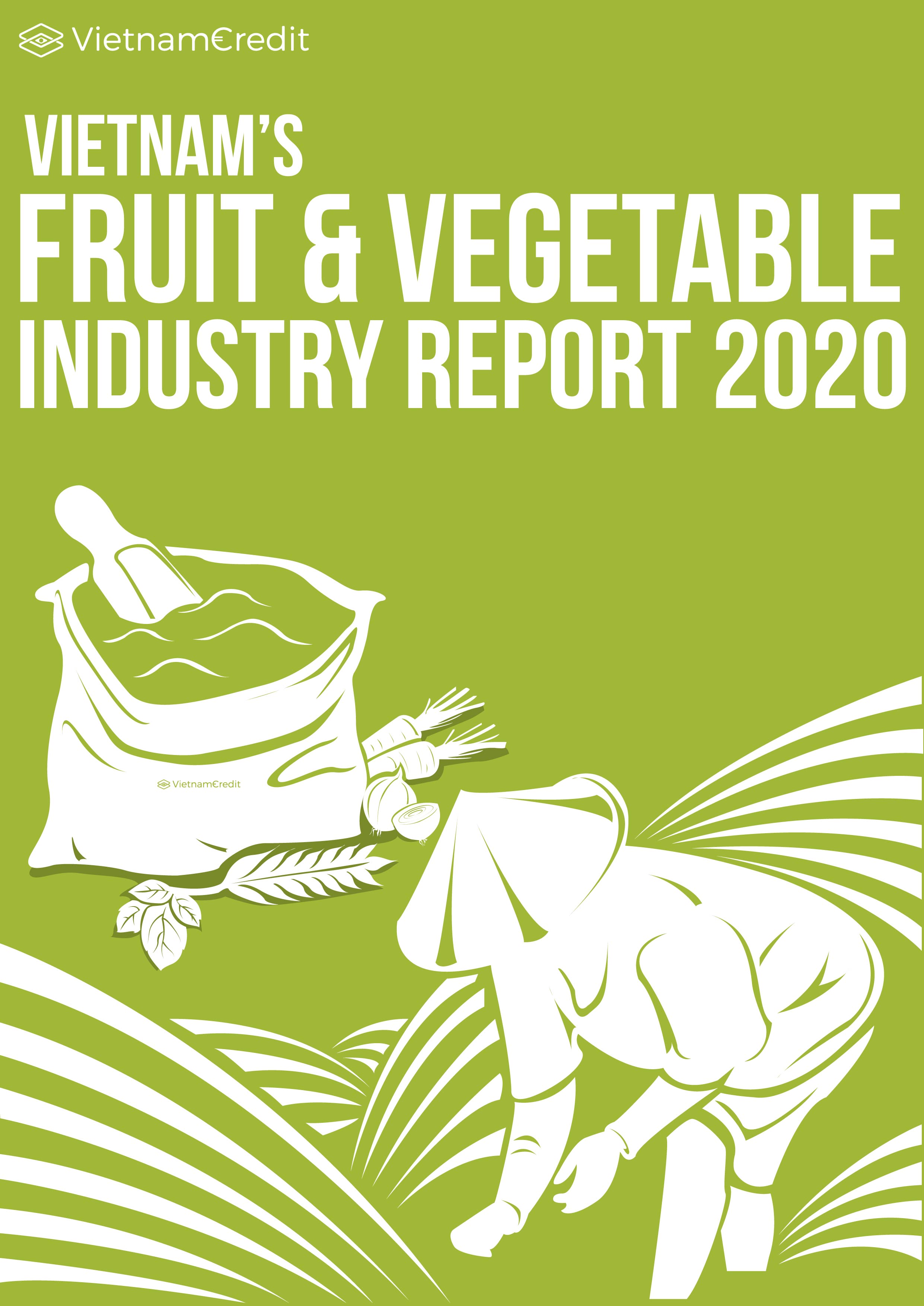 Vietnam Fruit and Vegetable Industry Report 2020