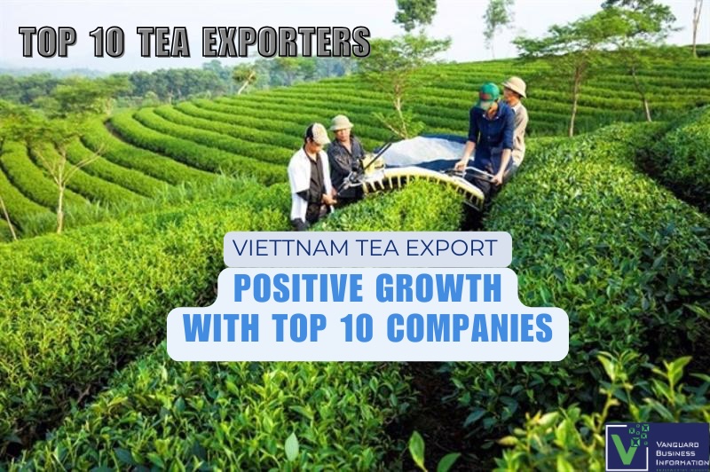 Vietnam's Tea Exports Soar in 2024: A Promising Year for Growth