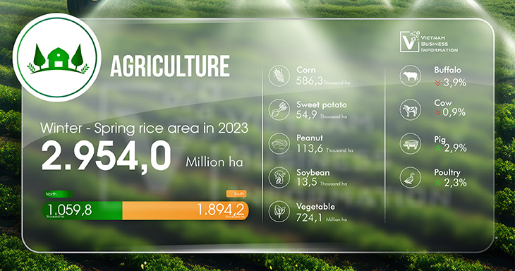 Vietnam economic overview 2024 Q2 agriculture