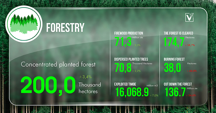 Vietnam forestry 3rd quarter 2024 Vietnam Business Information