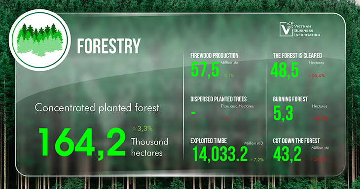 Vietnam monthly economic overview August 2024 forestry