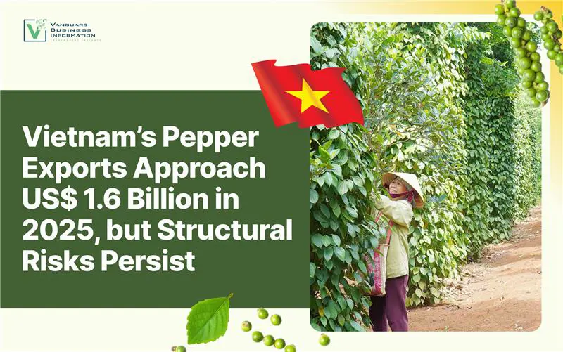 Vietnam’s Pepper Exports Approach US$ 1.6 Billion in 2025, but Structural Risks Persist