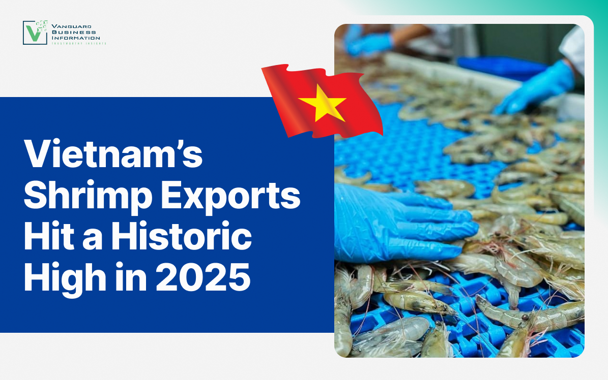 Vietnam’s Shrimp Exports Hit a Historic High in 2025