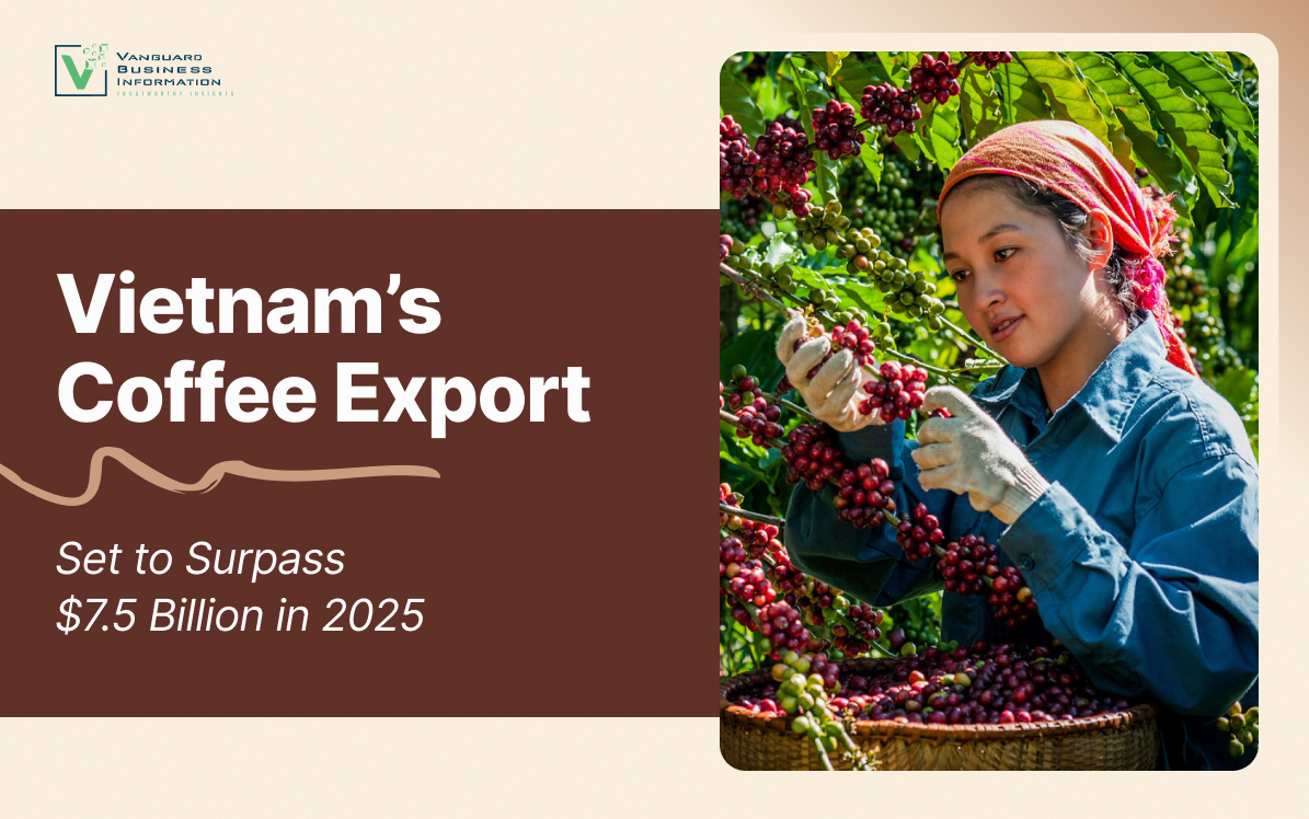 Vietnam’s Coffee Export: Set to Surpass USD 7.5 Billion in 2025