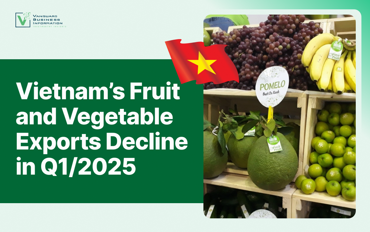 Vietnam’s Fruit and Vegetable Exports Decline in Q1/2025